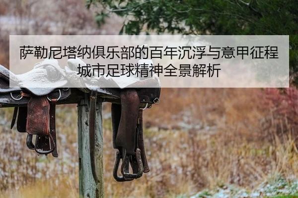 萨勒尼塔纳俱乐部的百年沉浮与意甲征程城市足球精神全景解析