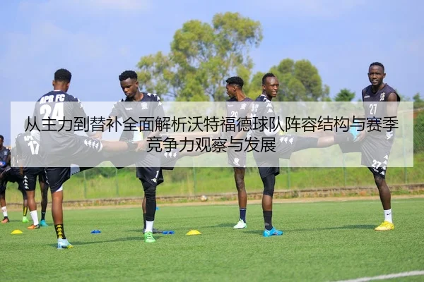 从主力到替补全面解析沃特福德球队阵容结构与赛季竞争力观察与发展