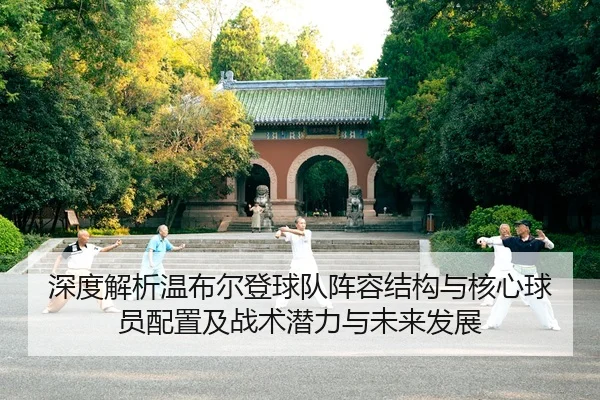 深度解析温布尔登球队阵容结构与核心球员配置及战术潜力与未来发展