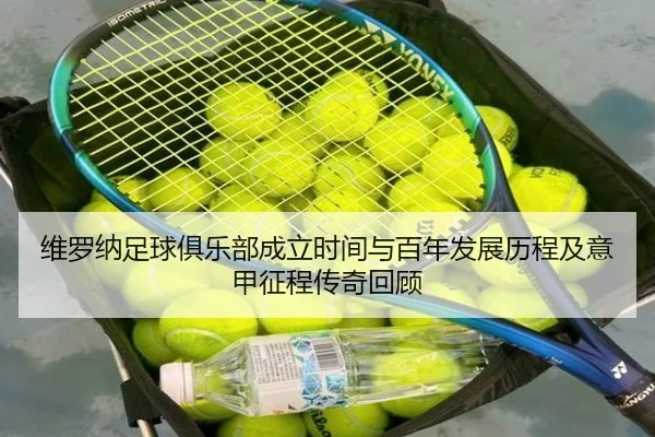 维罗纳足球俱乐部成立时间与百年发展历程及意甲征程传奇回顾