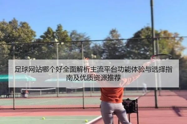 足球网站哪个好全面解析主流平台功能体验与选择指南及优质资源推荐
