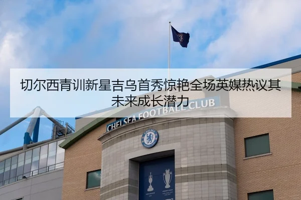 切尔西青训新星吉乌首秀惊艳全场英媒热议其未来成长潜力 - 新闻资讯相关报道缩略图